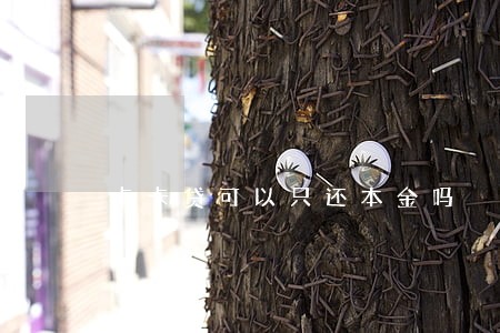 卡卡贷可以只还本金吗