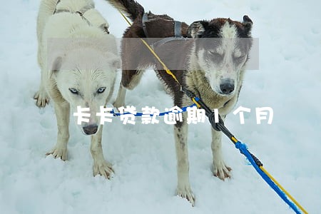 卡卡贷款逾期1个月 卡卡贷款逾期1个月