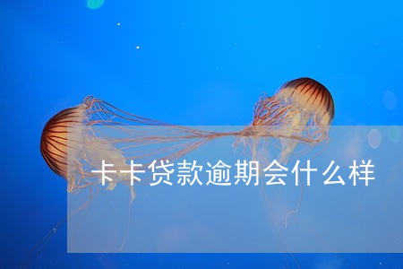 卡卡贷款逾期会什么样 卡卡贷款逾期会什么样
