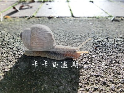卡卡贷逾期10天了 卡卡贷逾期10天了