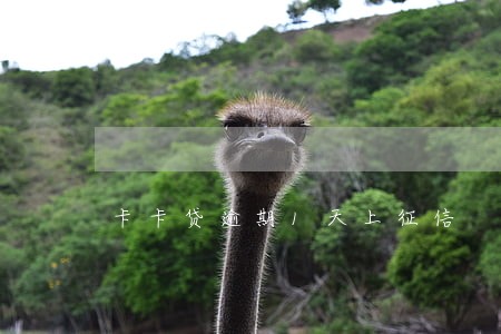 卡卡贷逾期1天上征信 卡卡贷逾期1天上征信