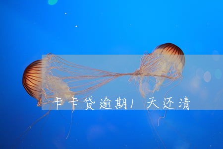 卡卡贷逾期1天还清 卡卡贷逾期1天还清