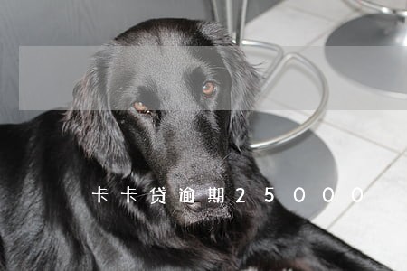 卡卡贷逾期25000 卡卡贷逾期25000