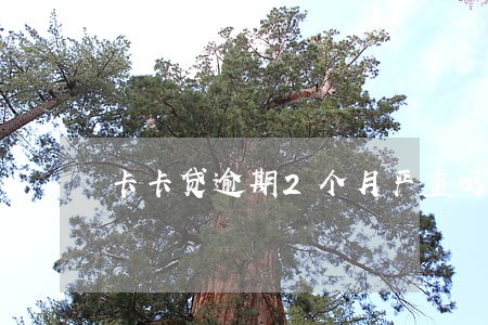 卡卡贷逾期2个月严重吗 卡卡贷逾期2个月严重吗