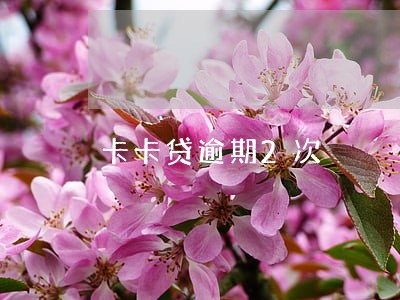 卡卡贷逾期2次 卡卡贷逾期2次