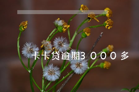 卡卡贷逾期3000多 卡卡贷逾期3000多