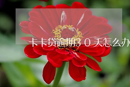 卡卡贷逾期30天怎么办 卡卡贷逾期30天怎么办