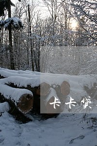 卡卡贷逾期3个月一次还清 卡卡贷逾期3个月一次还清