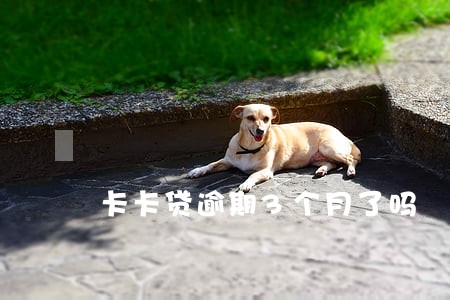 卡卡贷逾期3个月了吗 卡卡贷逾期3个月了吗