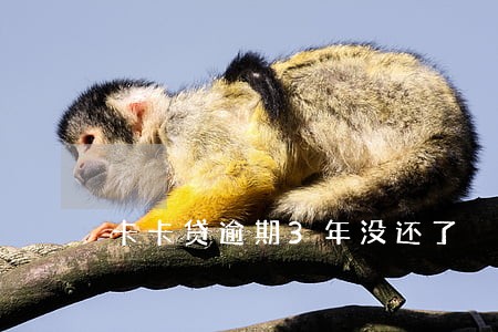 卡卡贷逾期3年没还了 卡卡贷逾期3年没还了