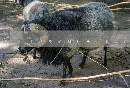 卡卡贷逾期3年说要上门是真的吗 卡卡贷逾期3年说要上门是真的吗