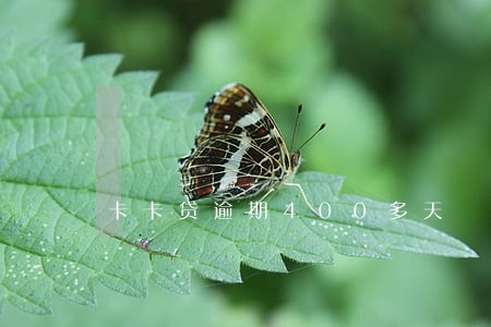 卡卡贷逾期400多天