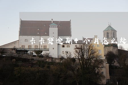 卡卡贷逾期4个月怎么处理 卡卡贷逾期4个月怎么处理