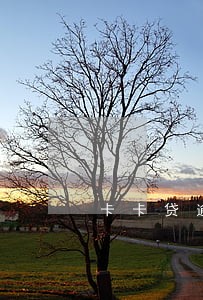 卡卡贷逾期4天2000多费用 卡卡贷逾期4天2000多费用