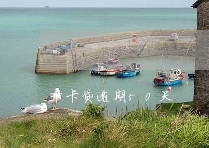 卡卡贷逾期50天 卡卡贷逾期50天