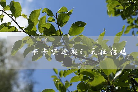 卡卡贷逾期5天征信吗 卡卡贷逾期5天征信吗