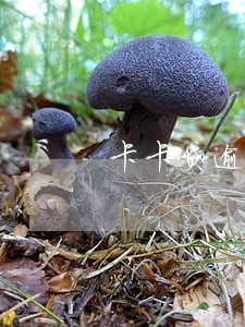 卡卡贷逾期5年了怎么还 卡卡贷逾期5年了怎么还