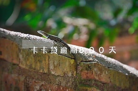 卡卡贷逾期800天