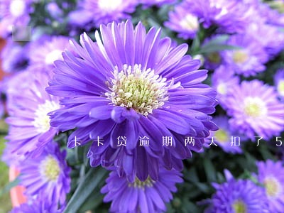 卡卡贷逾期两天扣了50 卡卡贷逾期两天扣了50