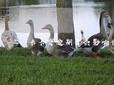 卡卡贷逾期了会影响信用卡的使用吗 卡卡贷逾期了会影响信用卡的使用吗