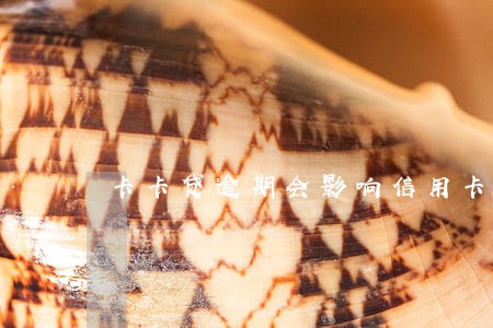 卡卡贷逾期会影响信用卡 卡卡贷逾期会影响信用卡
