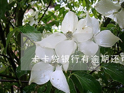 卡卡贷银行有逾期还可以申请 卡卡贷银行有逾期还可以申请
