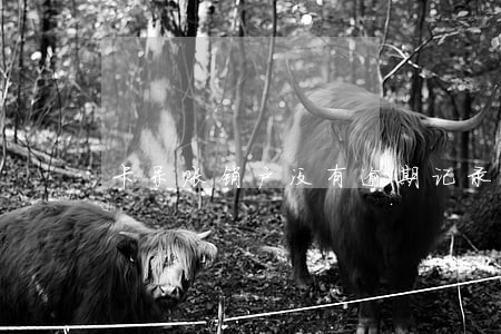 卡呆账销户没有逾期记录