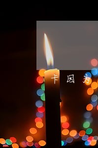 卡因为逾期被停用