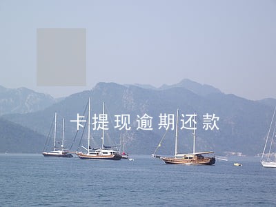 卡提现逾期还款