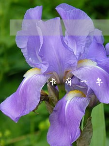 卡有一年没有逾期还怎样？