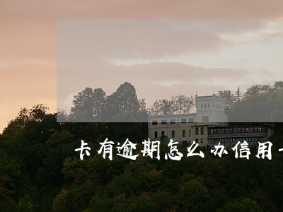卡有逾期怎么办信用卡 卡有逾期怎么办信用卡