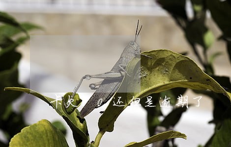 卡欠10还但是逾期了