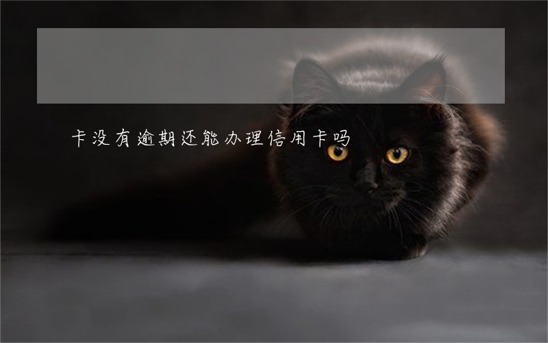卡没有逾期还能办理信用卡吗 卡没有逾期还能办理信用卡吗