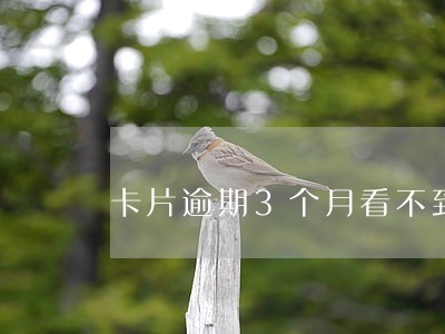 卡片逾期3个月看不到额度了 卡片逾期3个月看不到额度了