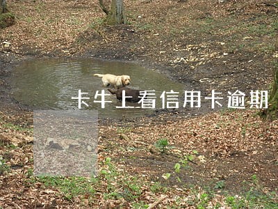 卡牛上看信用卡逾期 卡牛上看信用卡逾期
