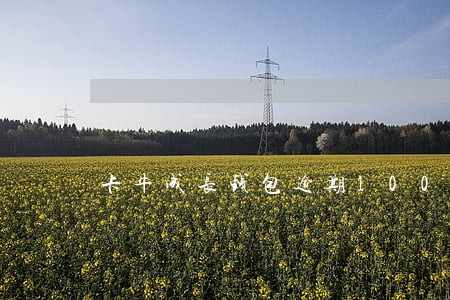 卡牛成长钱包逾期100无 卡牛成长钱包逾期100无