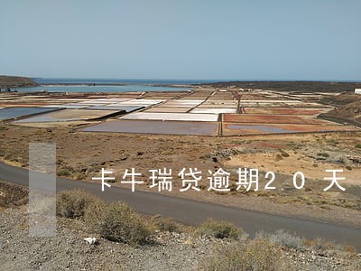 卡牛瑞贷逾期20天 卡牛瑞贷逾期20天