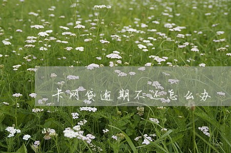 卡网贷逾期不还怎么办 卡网贷逾期不还怎么办