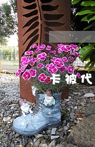 卡被代还的人拿着逾期