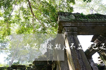 卡还款逾期后不显示已还款