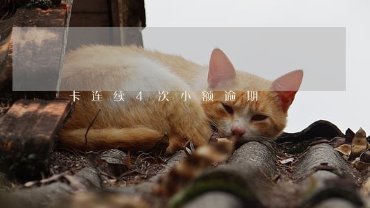 卡连续4次小额逾期
