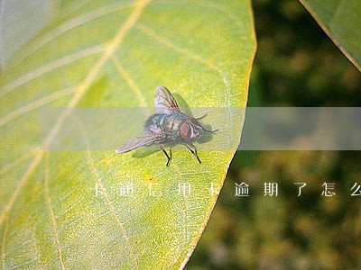 卡通信用卡逾期了怎么办