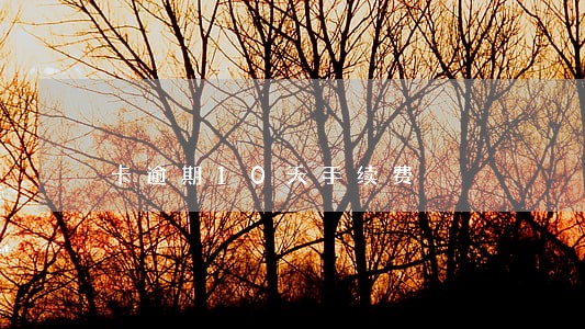 卡逾期10天手续费