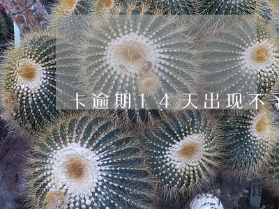 卡逾期14天出现不予承兑