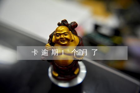 卡逾期1个月了