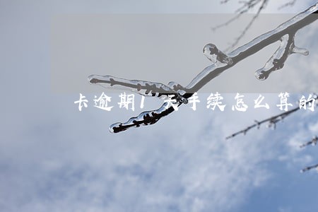 卡逾期1天手续怎么算的