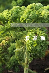 卡逾期1年钱还了