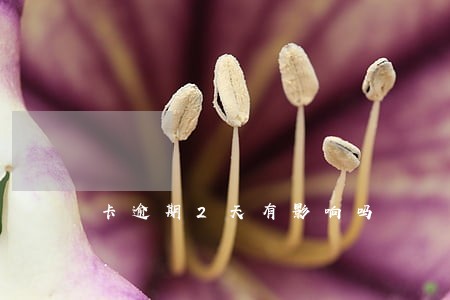 卡逾期2天有影响吗