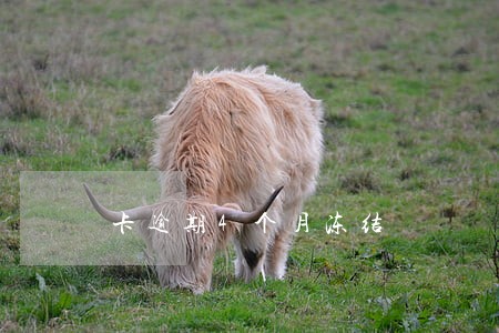 卡逾期4个月冻结 卡逾期4个月冻结