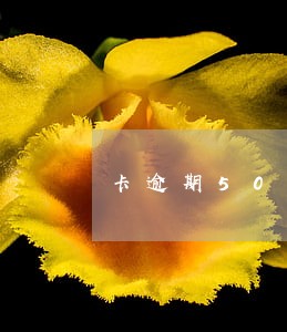 卡逾期50万是否可以分期